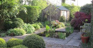 A small formal pond and surrounding planting